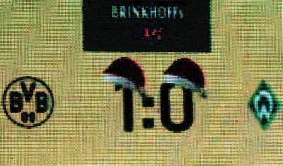 2010-12-11-00000102490266