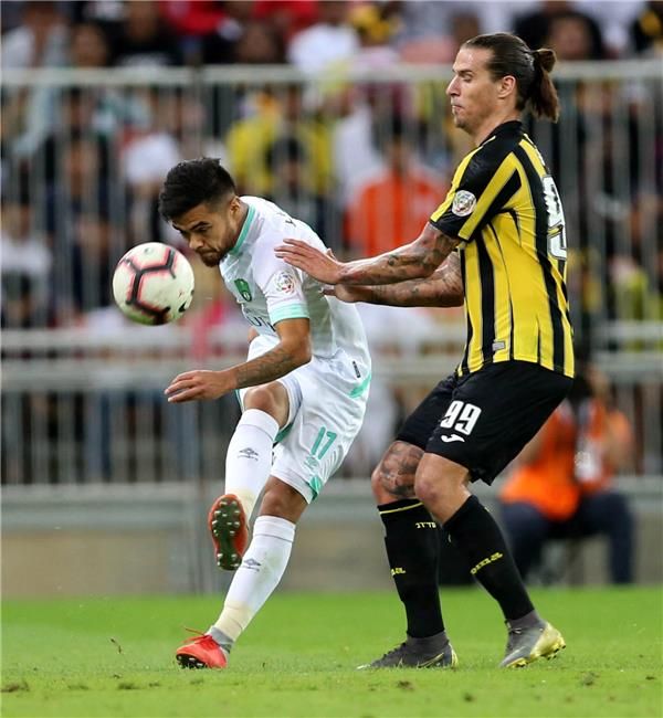 أليكساندر بريجوفيتش