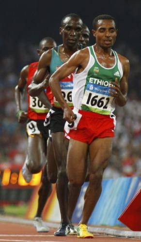 كيبتشوجي وبيكيلي