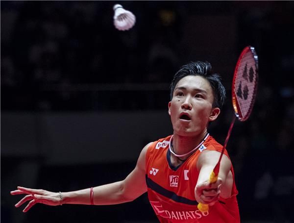 كينتو موموتا