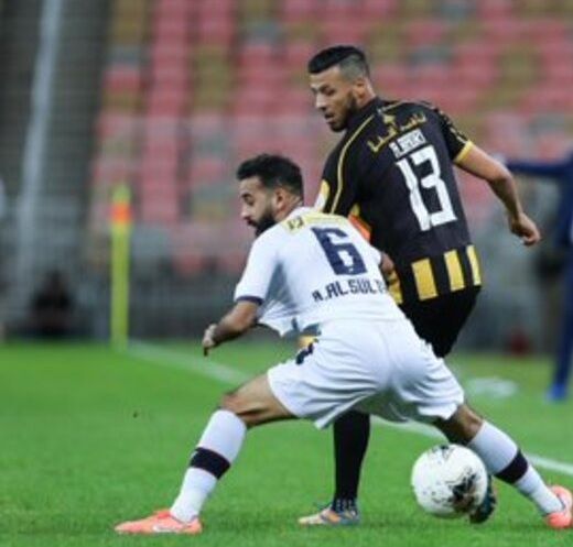 أنيس البدري