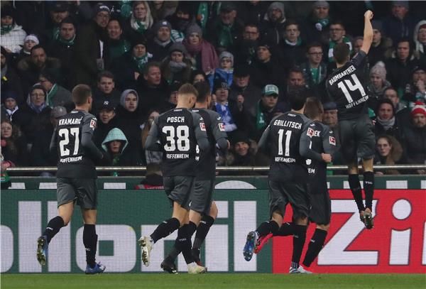 لاعبو هوفنهايم 