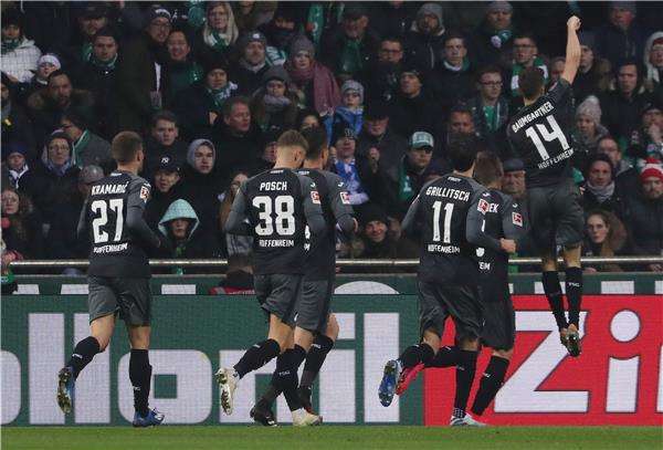 لاعبو هوفنهايم 