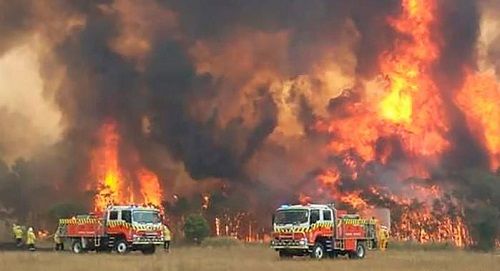 حرائق الغابات