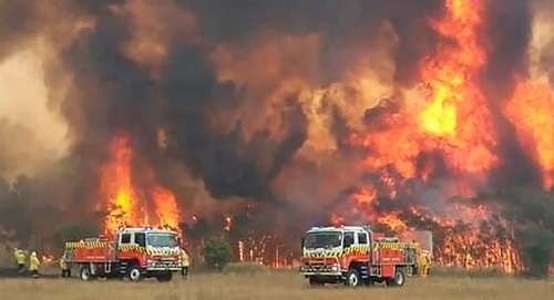 حرائق الغابات