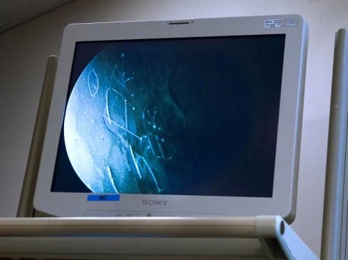 2010-12-17t194950z_01_sto03_rtridsp_3_sweden_reuters