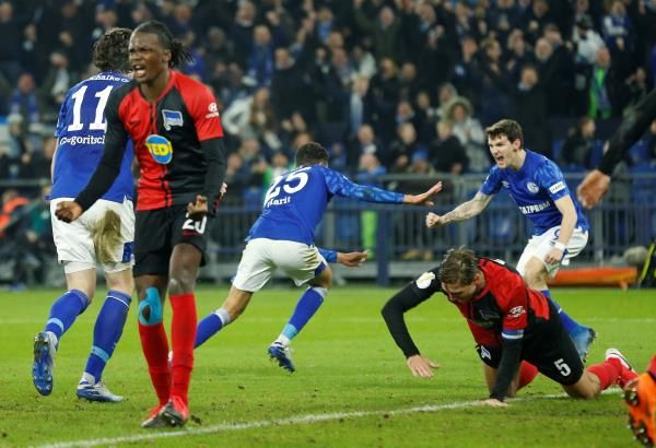 فرحة لاعبي شالكه