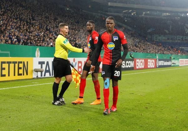 توروناريجا