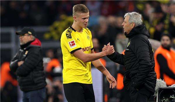 فافر وهالاند