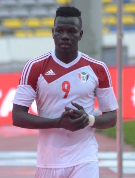 سيف تيري