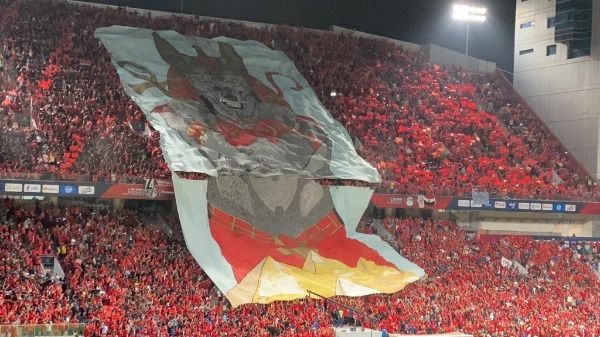 جماهير الأهلي