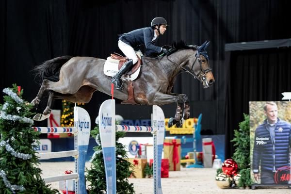 2019-12-01t195628z_1935415732_rc2jmd9tt1tr_rtrmadp_3_sweden-equestrian_reuters