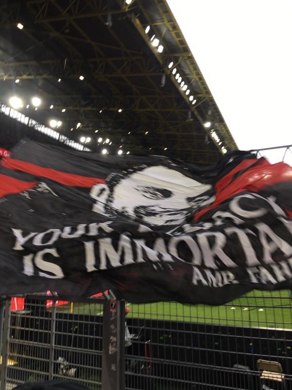 صورة فهمي في المدرجات 