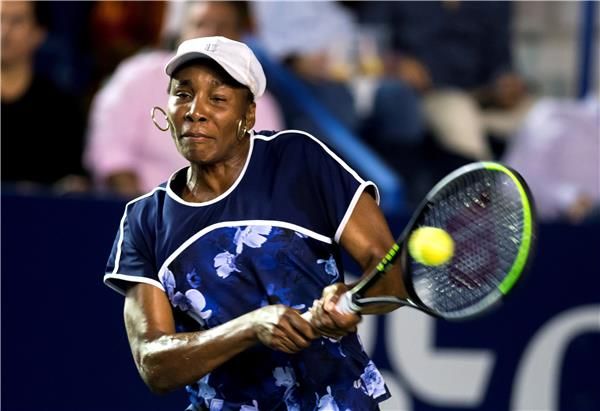 فينوس ويليامز