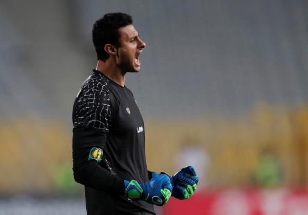 محمد الشناوي