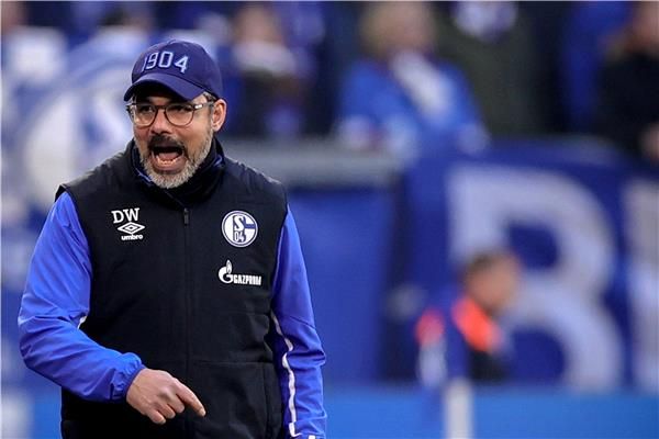 ديفيد فاجنر