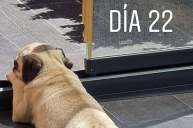 1_Marcos-LlorenteJPG