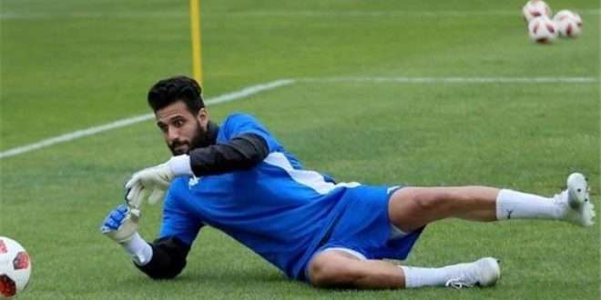 أحمد الشناوي