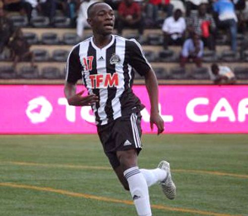 جاكسون موليكا