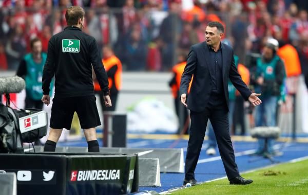  ويلي سانيول