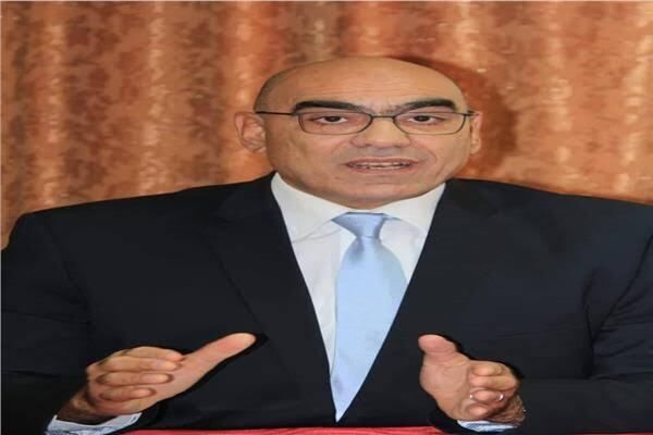 هشام نصر