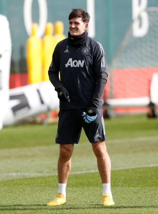 هاري ماجواير