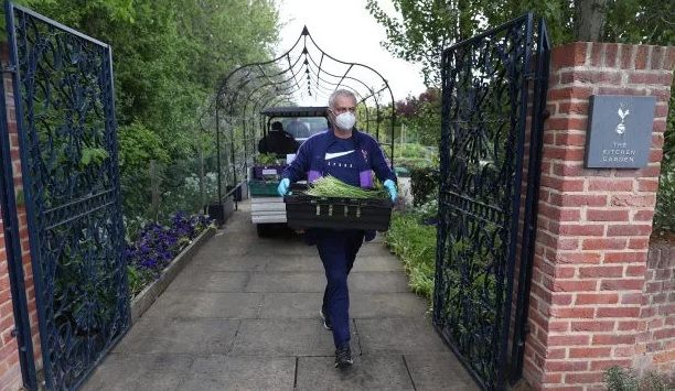 جوزيه مورينيو