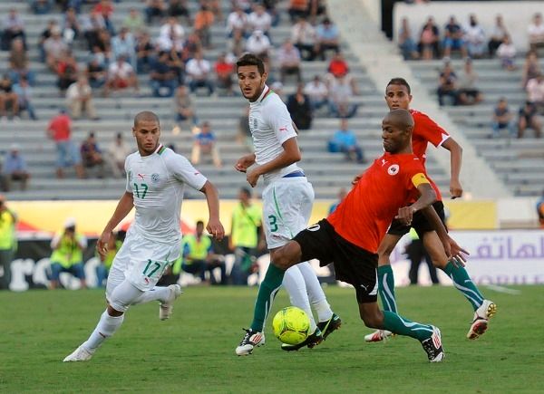 أحمد سعد سليمان  