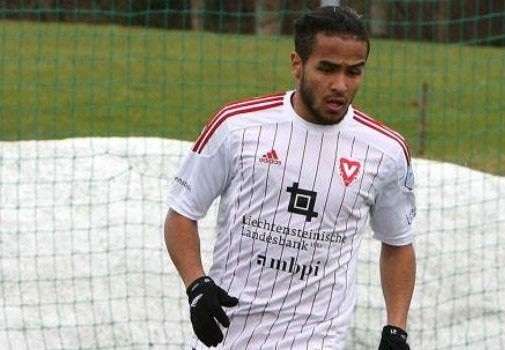 أمين تيغزوي