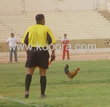 ahli-akth2