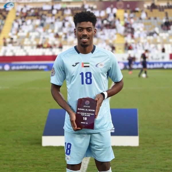 سهيل النوبي