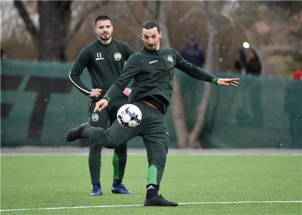 إبراهيموفيتش 