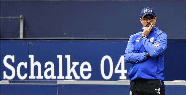 ديفيد فاجنر 