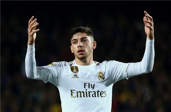 فيدي فالفيردي