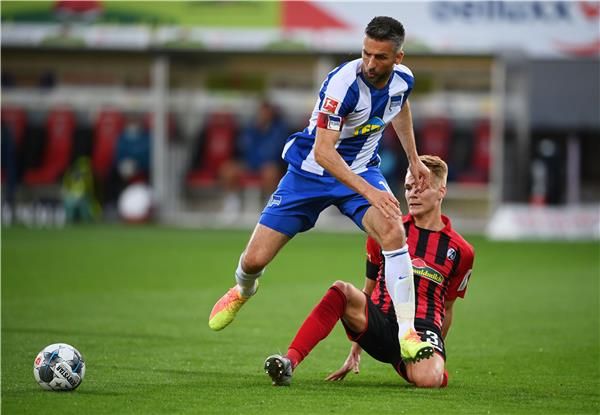 فيداد إيبسيفيتش