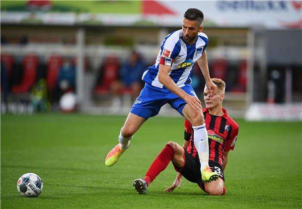 فيداد إيبسيفيتش