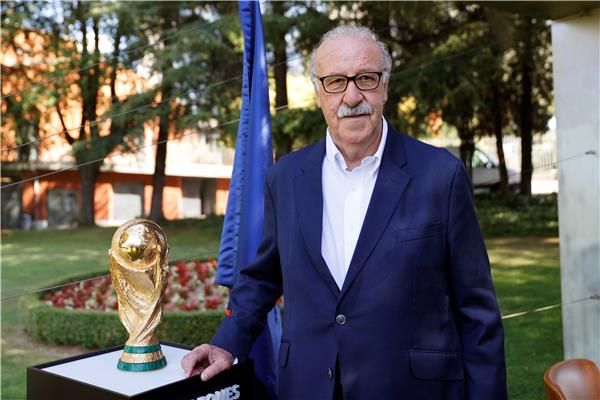  فيسنتي ديل بوسكي