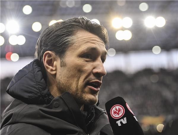 نيكو كوفاتش