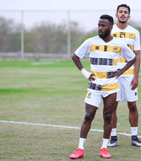 المولد من التدريبات