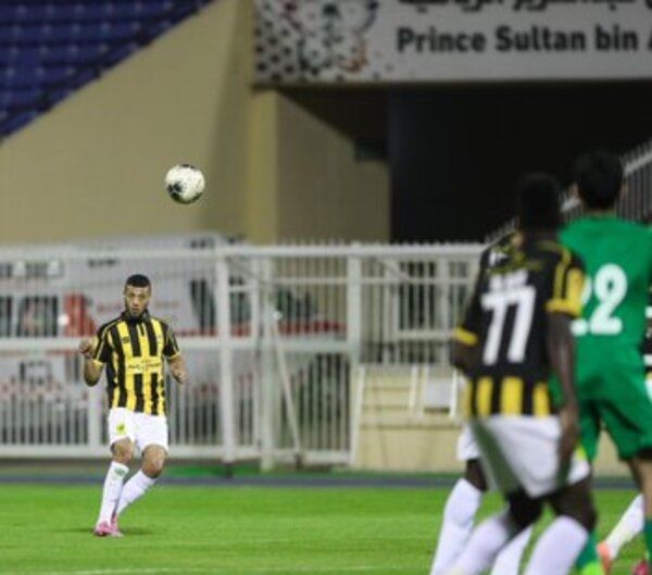 أنيس البدري