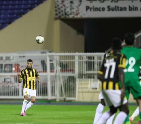 أنيس البدري