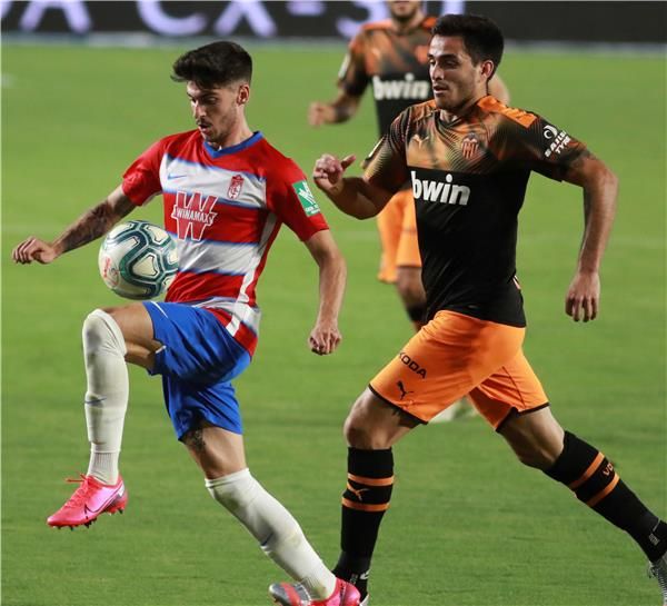 كارلوس نيفا 