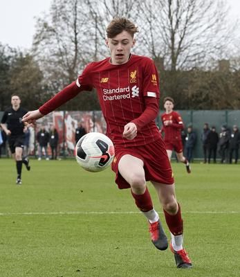 كونور برادلي 