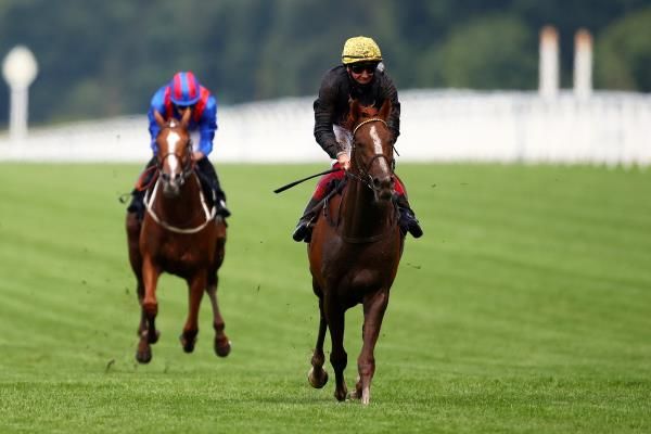 ستراديفاريوس