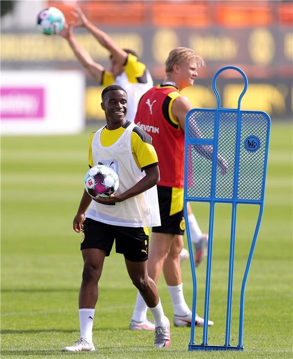 إيرلينج هالاند 