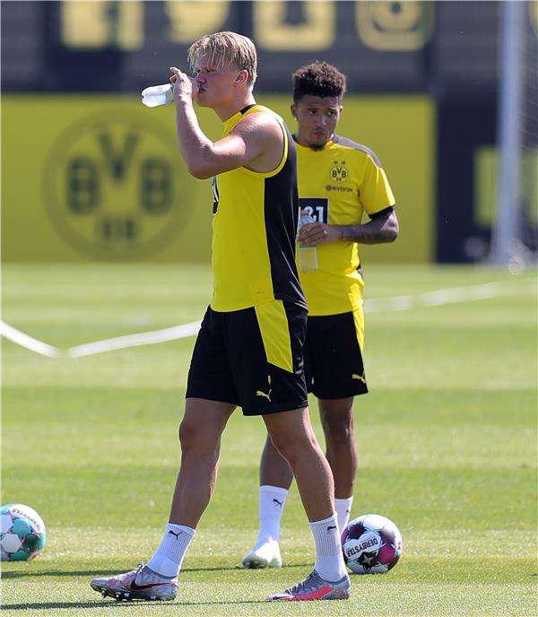  إيرلينج هالاند 