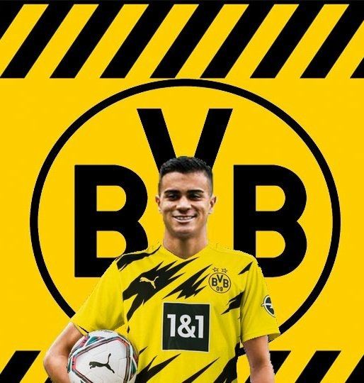 رينير جيسوس