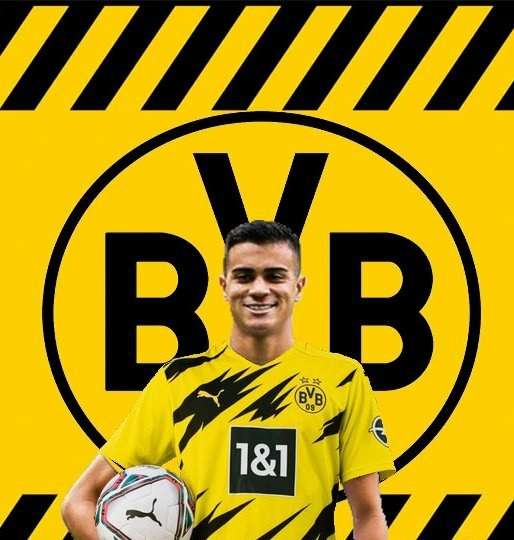 رينير جيسوس