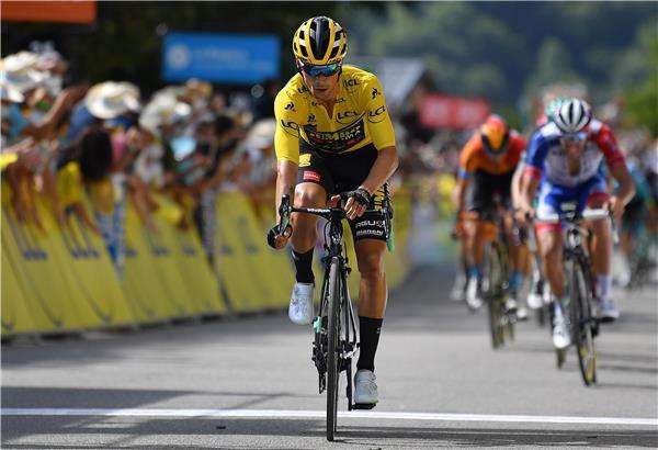 بريموش روجليتش