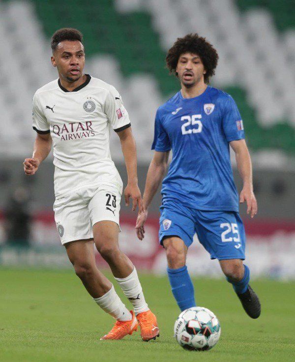 أحمد عبد الحي